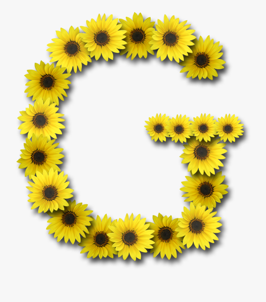 Letter O Design Sunflower, Transparent Clipart