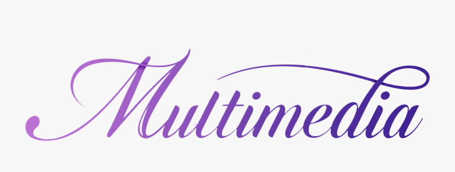 Arabian Horse, Transparent Clipart