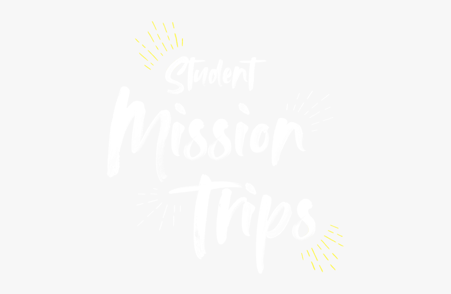 Flower, Transparent Clipart