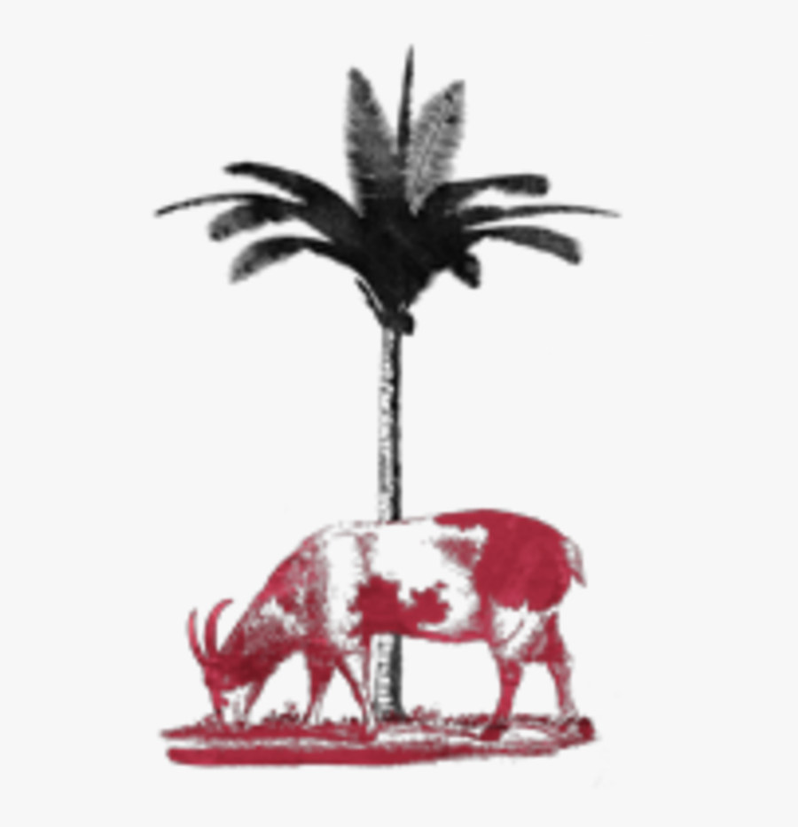 Chubby"s Jamaican Kitchen - Chubby's Jamaican Kitchen Logo, Transparent Clipart