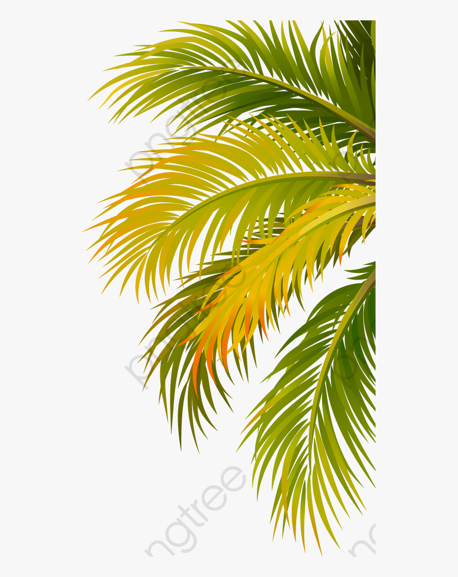 Green Hand Painted - Coconut Tree Png, Transparent Clipart