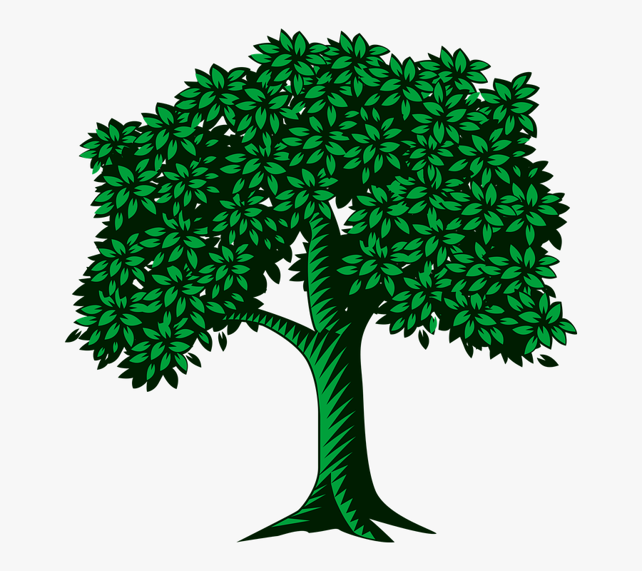 Tree With Many Leaves Clipart , Transparent Cartoons - Tree Leaves Clipart, Transparent Clipart