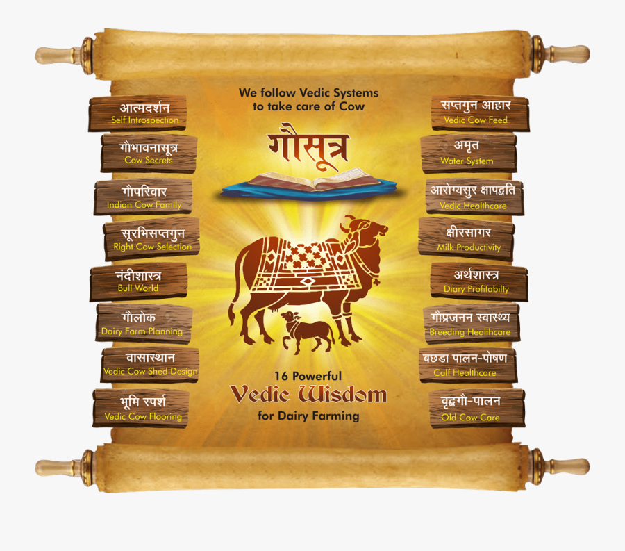 Transparent Indian Ox Png - Suryaketu Nadi In Cow, Transparent Clipart