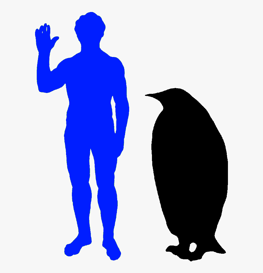 Cat Compared To Human, Transparent Clipart