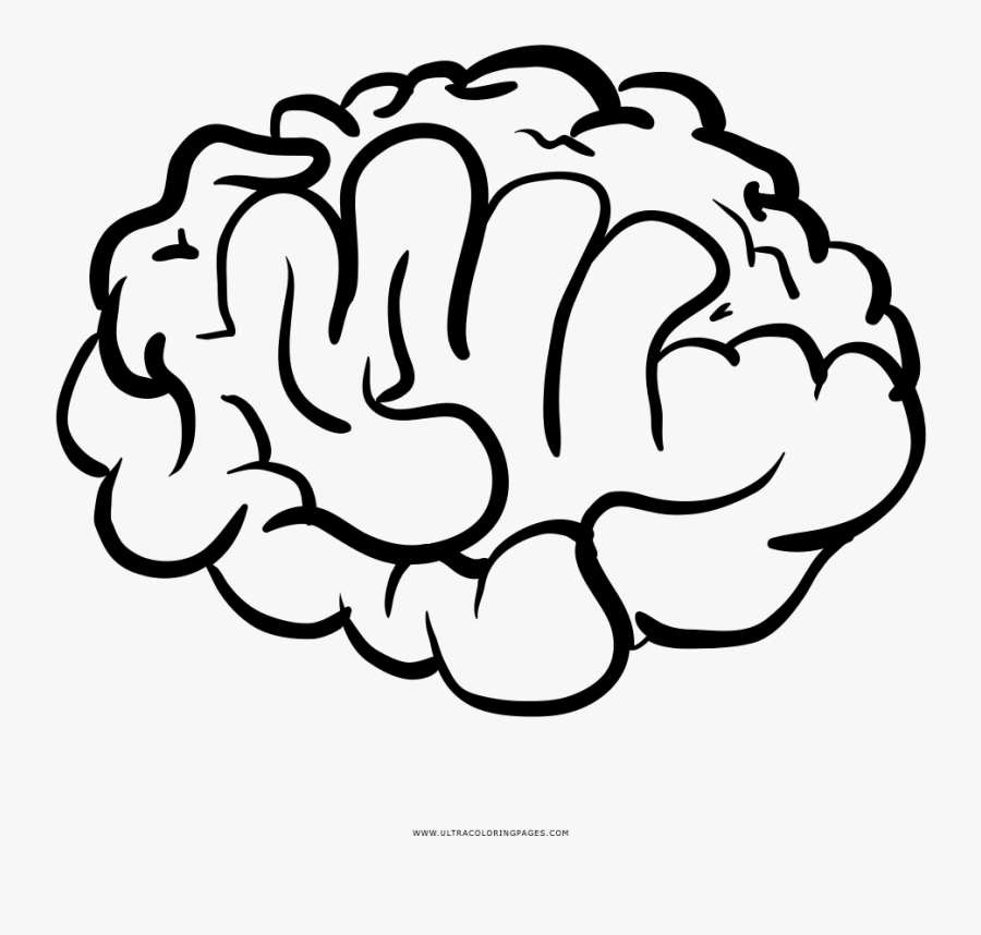 Brain Coloring Page, Transparent Clipart