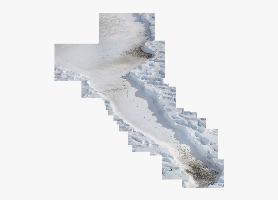 Snow, Transparent Clipart