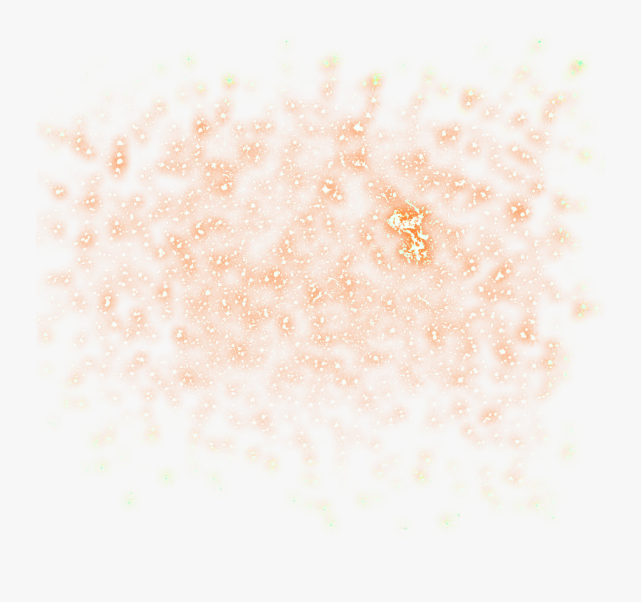 Invertebrate, Transparent Clipart