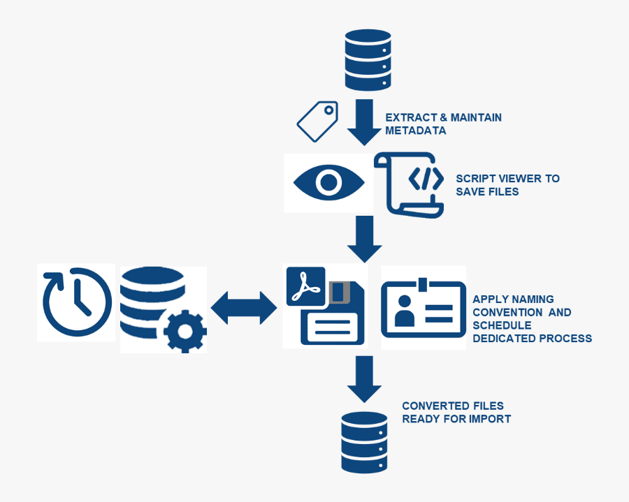 Transparent Ekg Png - Graphic Design, Transparent Clipart