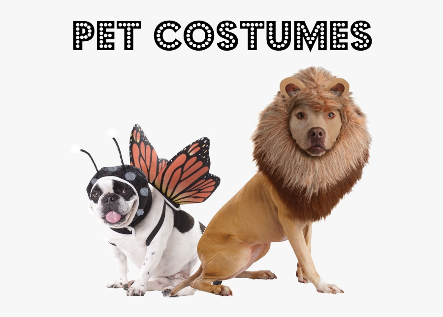 Dogs In Animal Costumes , Transparent Cartoons - Dogs In Other Animal Costumes, Transparent Clipart