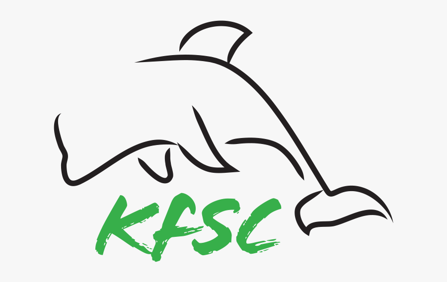 Line Art, Transparent Clipart