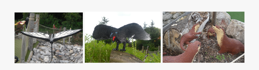 Grass, Transparent Clipart