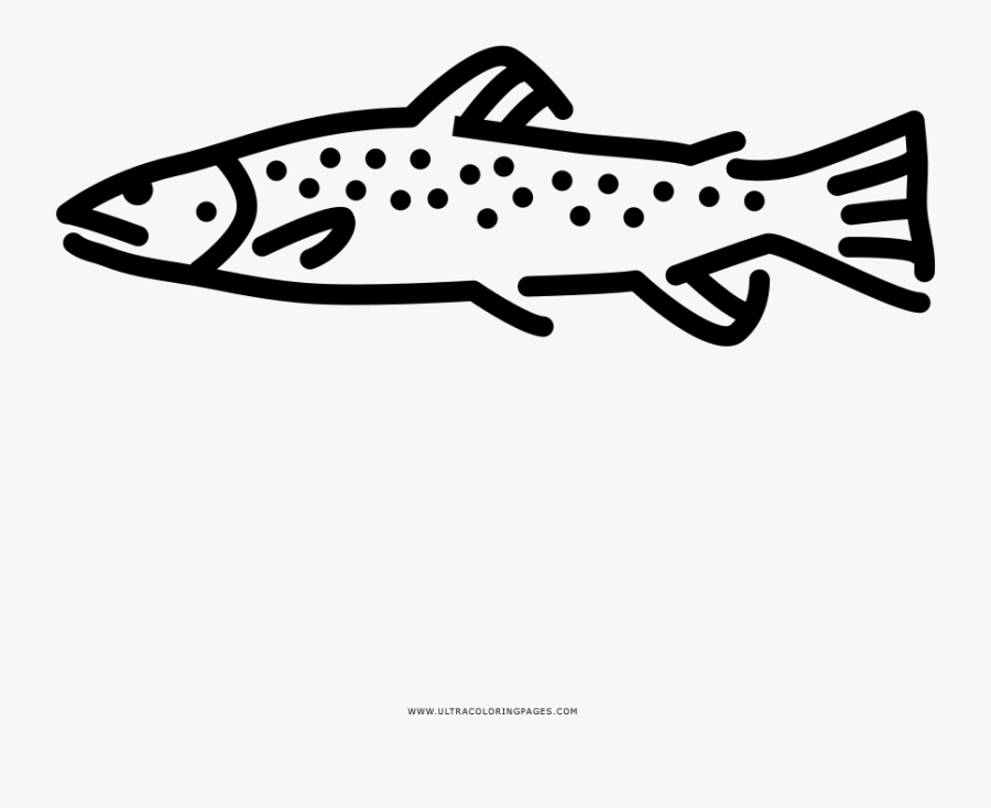 Brown Trout Coloring Page - Transparent Trout Icon, Transparent Clipart