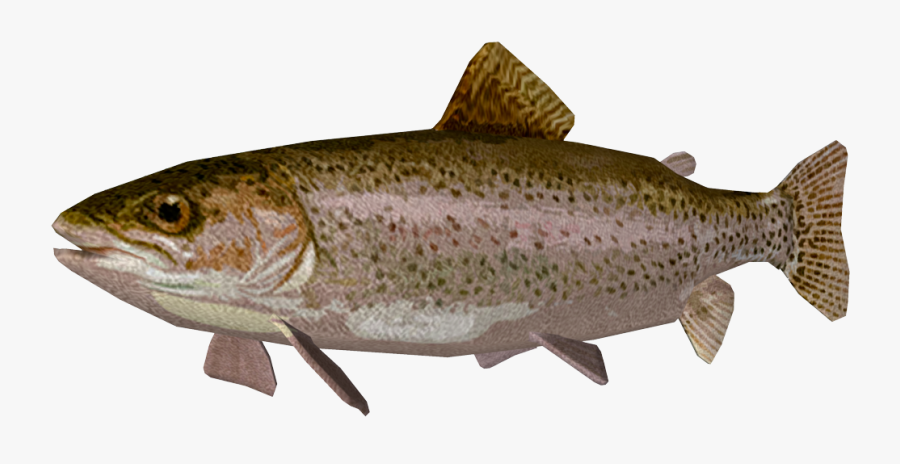 Rainbow Trout Png - Peces Del Lago Titicaca Animados, Transparent Clipart