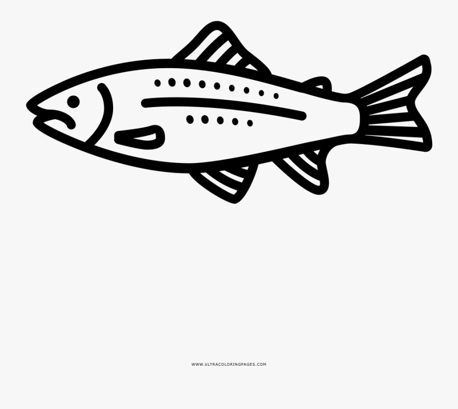 Download Trout Coloring Page - Dibujo De Una Trucha Para Colorear , Free Transparent Clipart - ClipartKey
