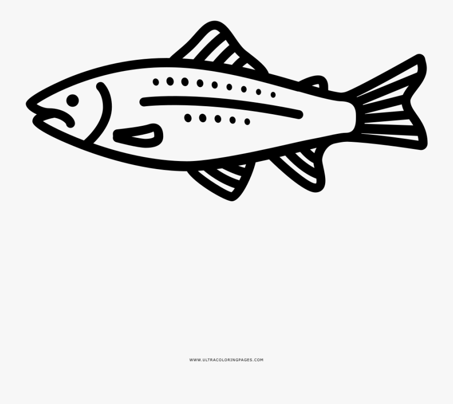 Trout Coloring Page - Dibujo De Una Trucha Para Colorear, Transparent Clipart