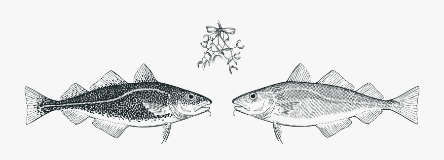 Touladi, Transparent Clipart