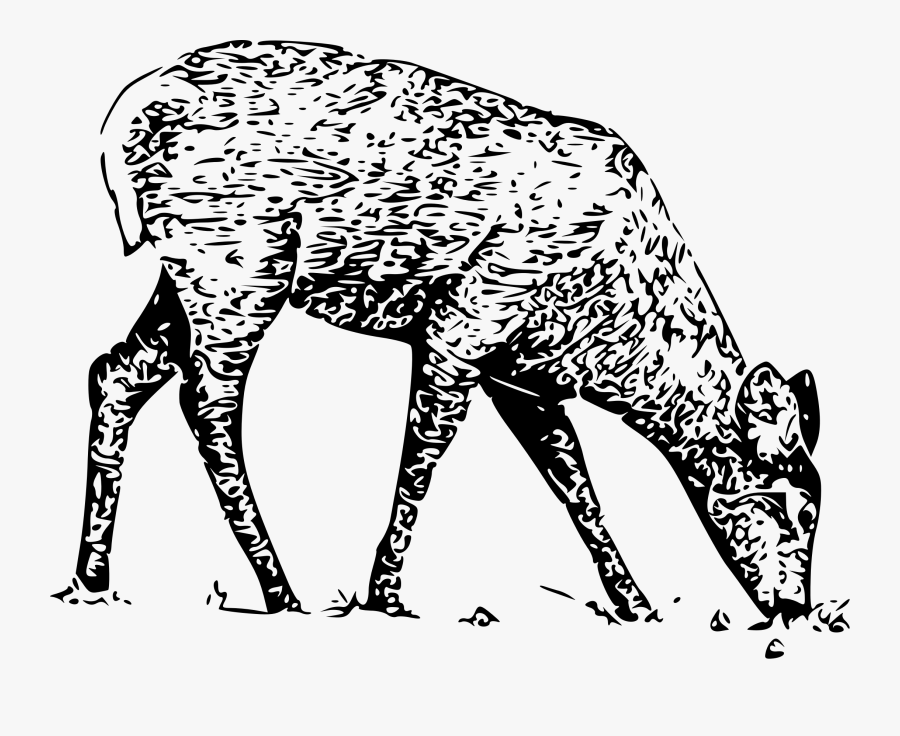 White Tail Deer Clip Arts - Fawn Black And White, Transparent Clipart