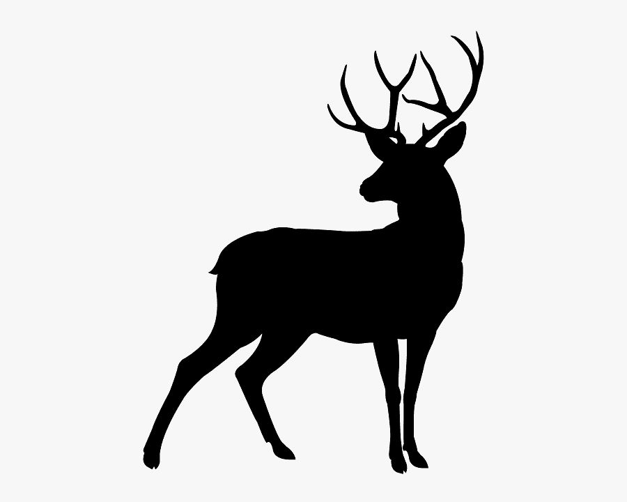 Harry Potter Spell Stickers , Free Transparent Clipart ClipartKey