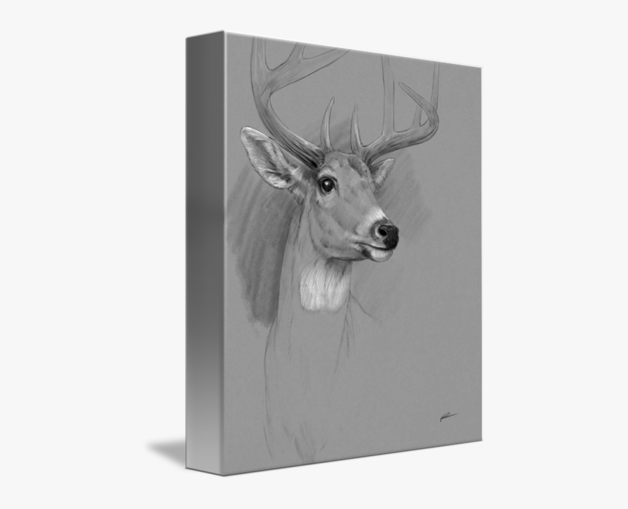 Dear Drawing Charcoal - Elk, Transparent Clipart