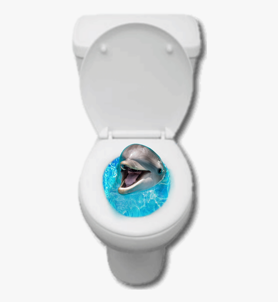 Toilet Dolphin Collage Golfinho Privada Freetoedit - Short-beaked Common Dolphin, Transparent Clipart