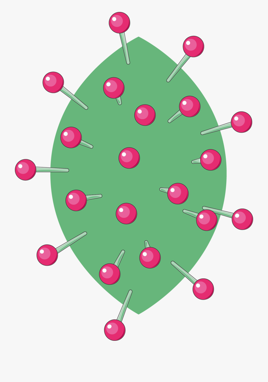 Hépatite - Circle, Transparent Clipart