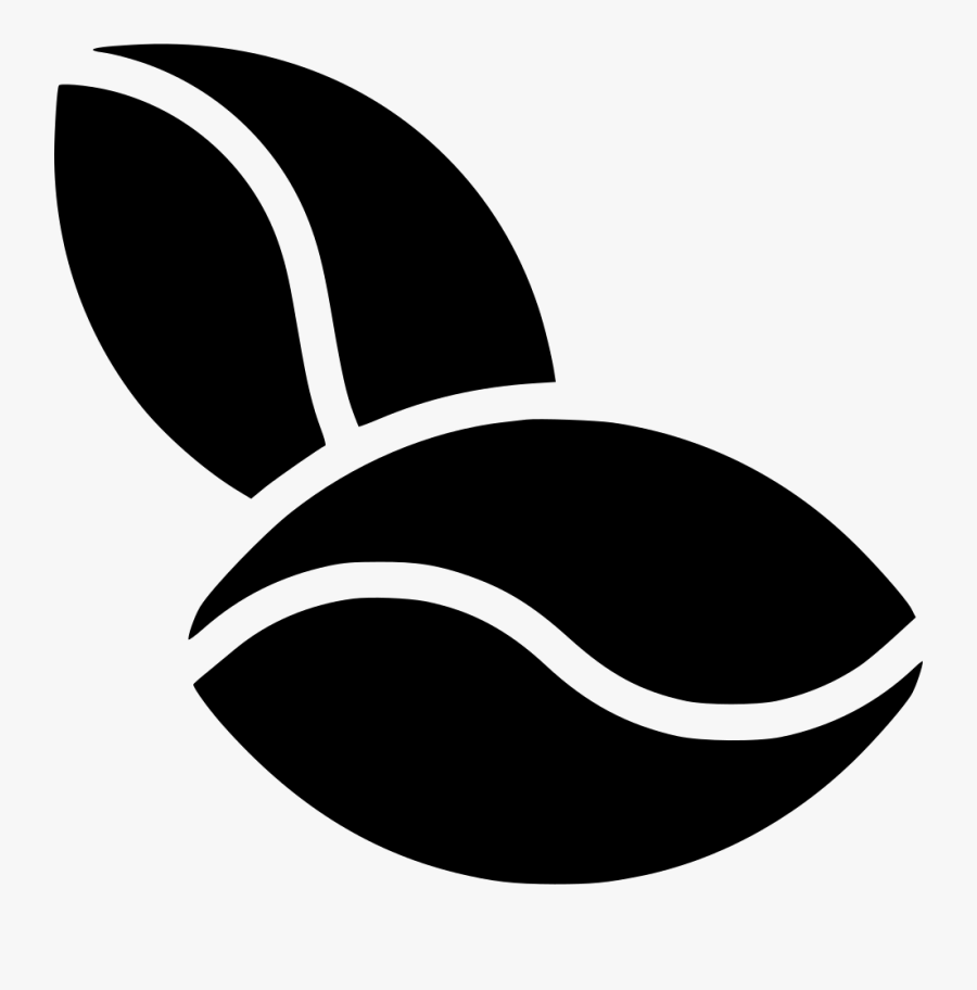 Cocoa Beans - Cocoa Bean Clipart, Transparent Clipart