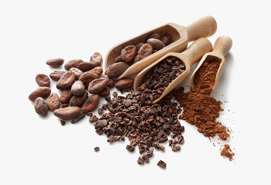 Cocoa Beans Png Hd - Cocoa Beans In Hd, Transparent Clipart
