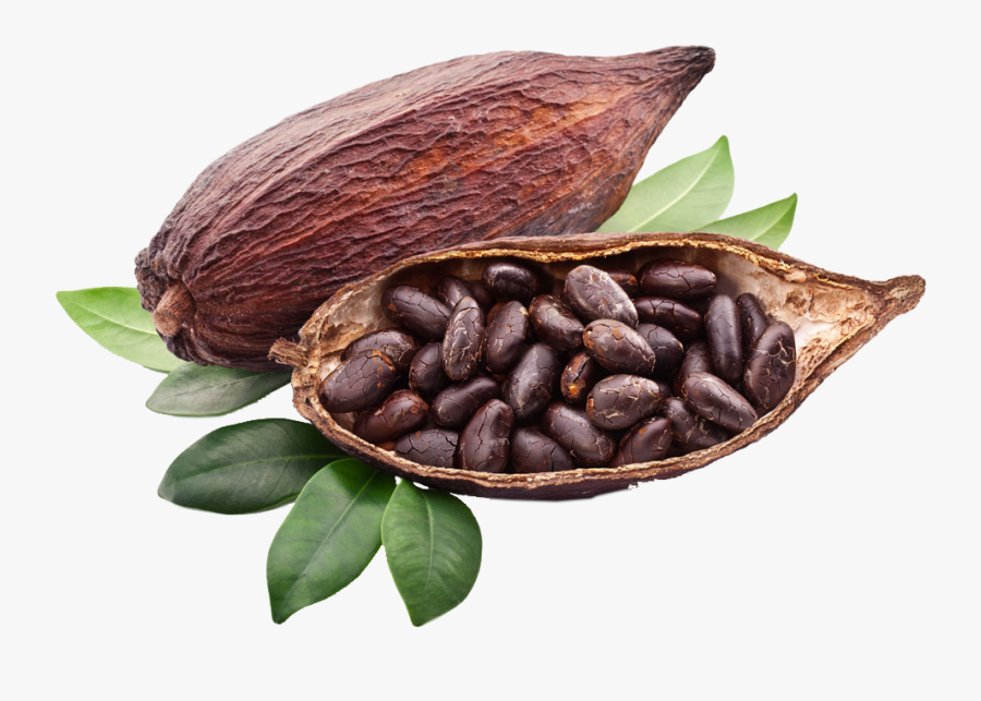 Clip Art Criollo Solids Trinitario Chocolate - Cocoa Png, Transparent Clipart