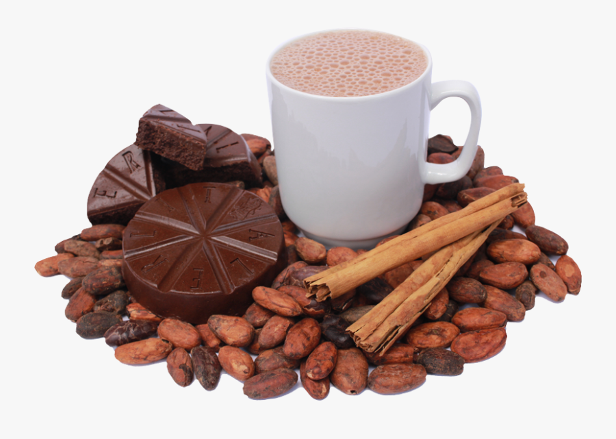 Cacao Tree, Transparent Clipart