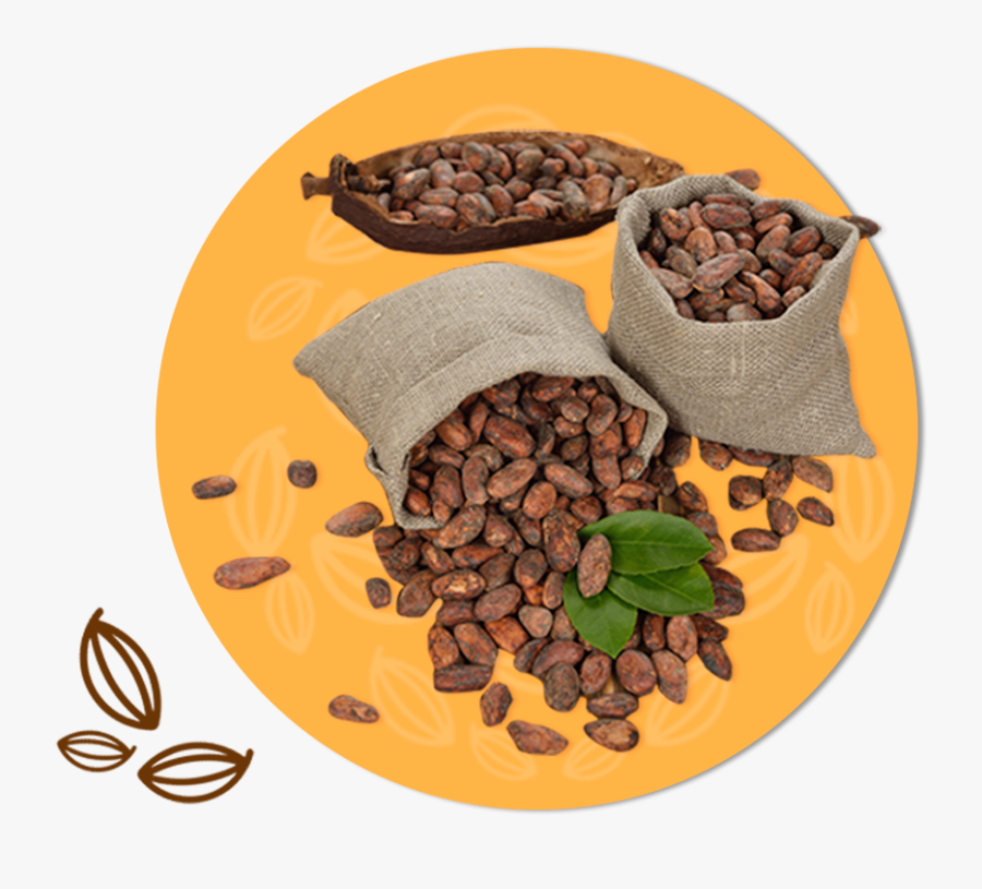 Organic Raw Cacao Beans - Seed, Transparent Clipart