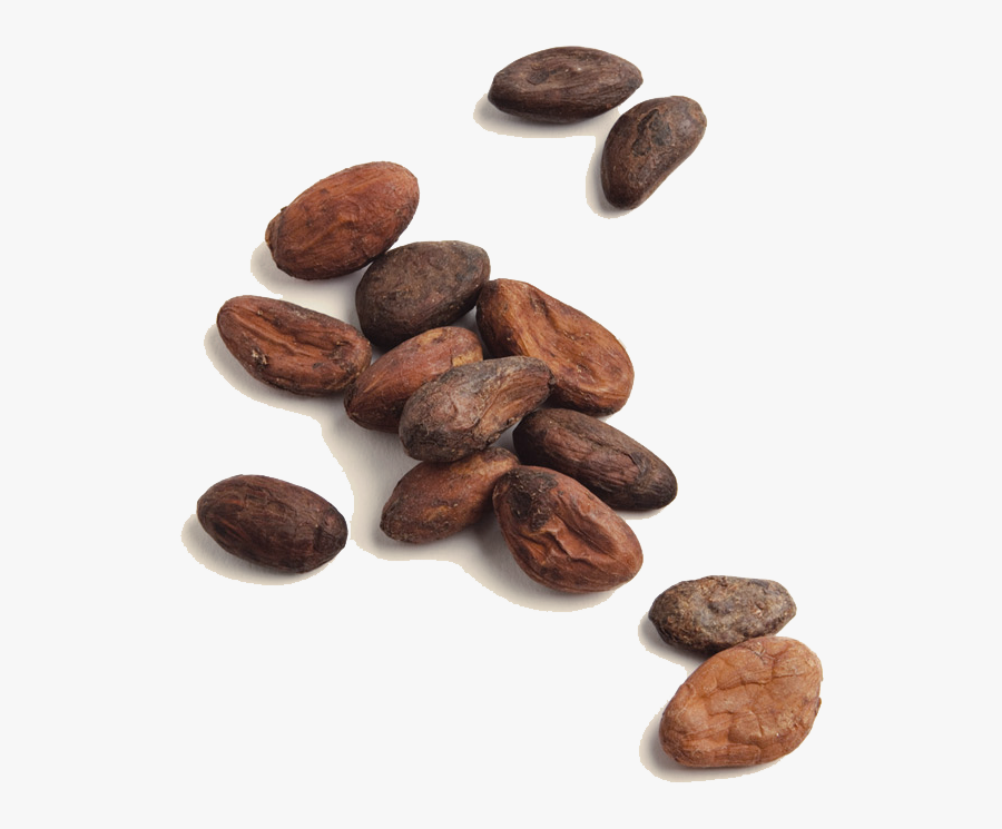 Clip Art Moner Cocoa Products Manufacturer - Aztec Cacao Beans, Transparent Clipart