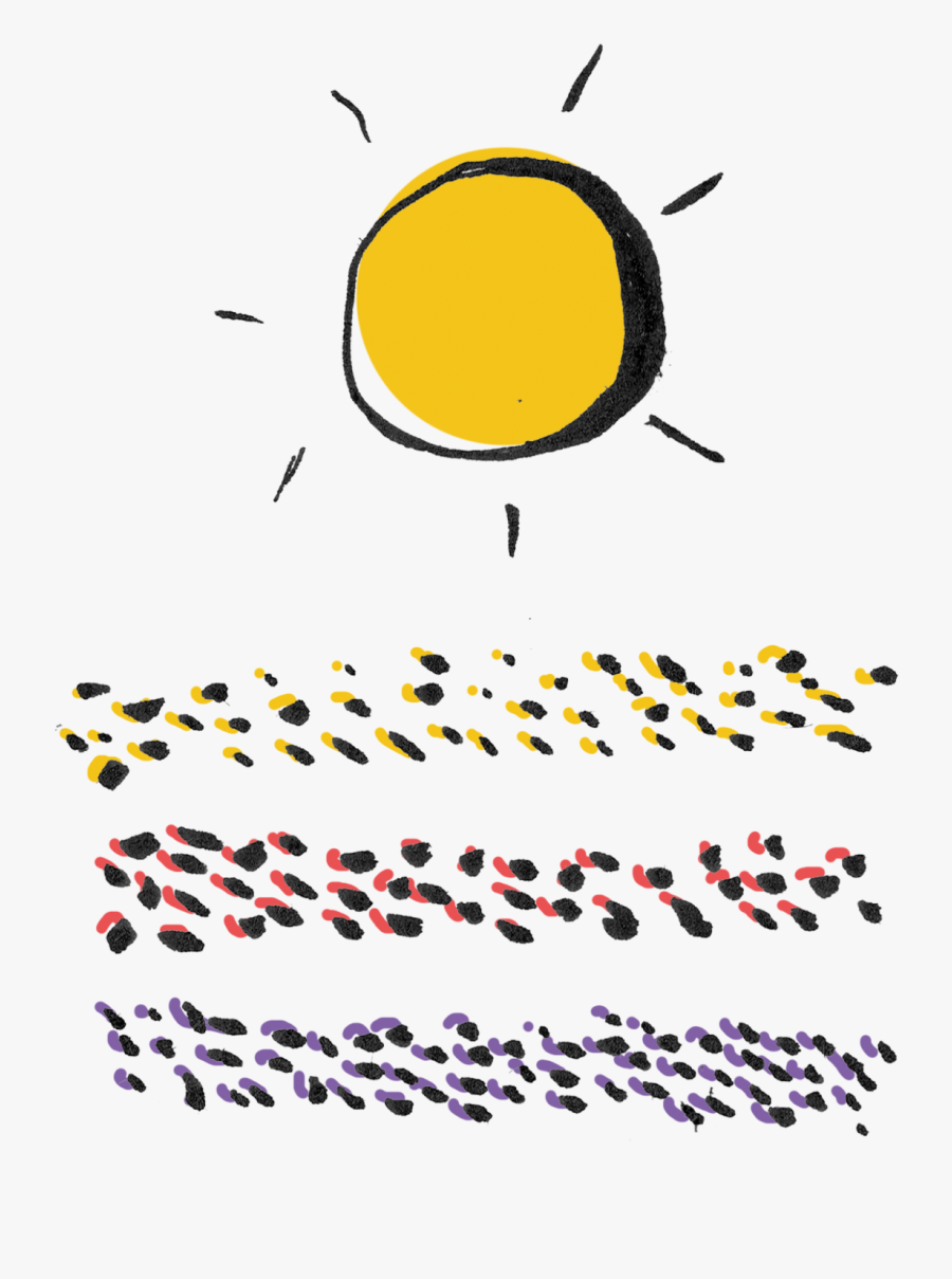 Drying Cacao Beans Graphic - Circle, Transparent Clipart