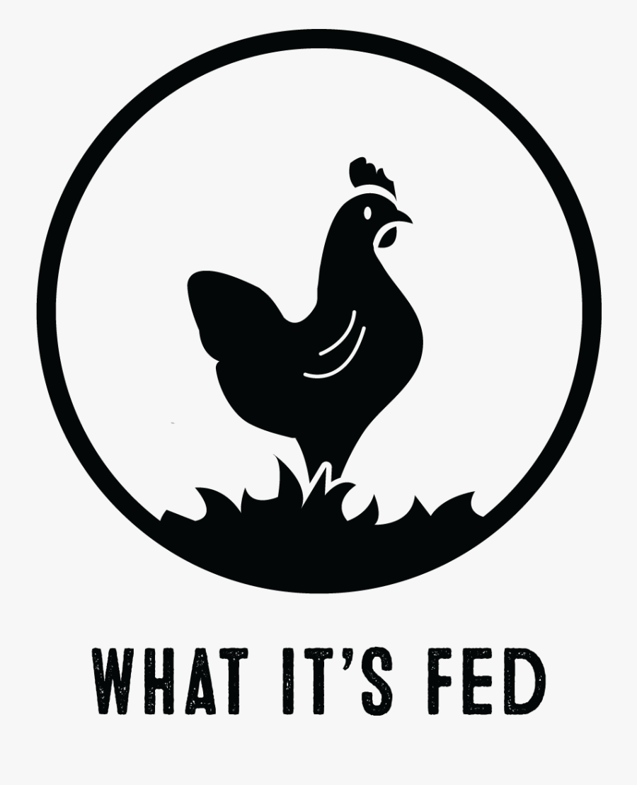 Transparent Rooster White Png - Rooster, Transparent Clipart