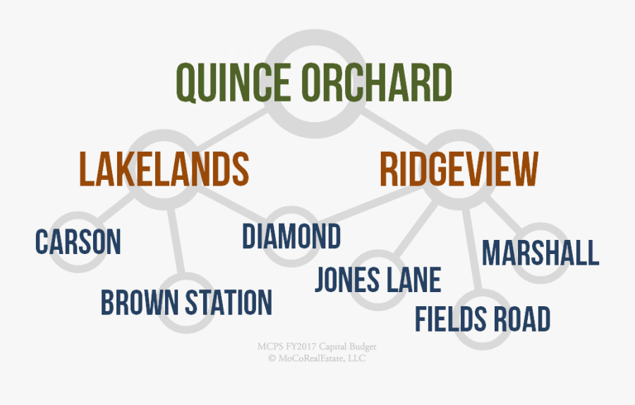 Transparent Orchard Png - Abey, Transparent Clipart