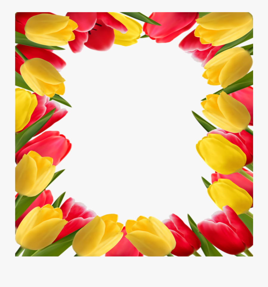 #mq #flowers #flower #frames #border #borders - Tulips Flower Border Design, Transparent Clipart