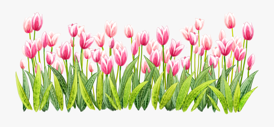 Tulip Transparent Grass - Tulip Png, Transparent Clipart