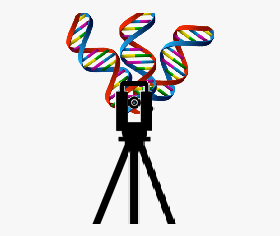 As A Land Surveyor And Its Theodolite, Ray Surveyor, Transparent Clipart