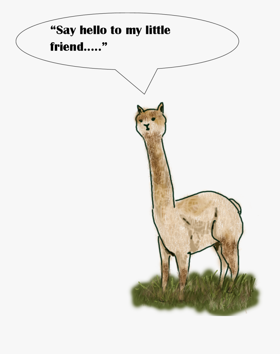 Alpacas Are Used Quite Successfully On Some Farms In - Llama, Transparent Clipart
