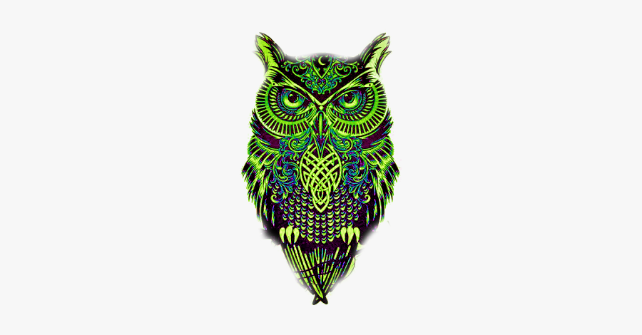 Celtic Owl Svg, Transparent Clipart