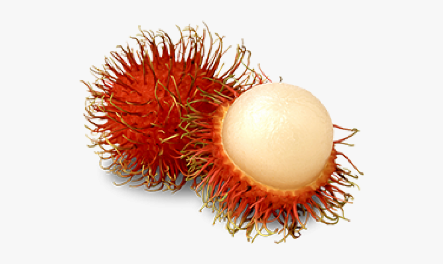 Fresh Fruit Rambutan, Transparent Clipart