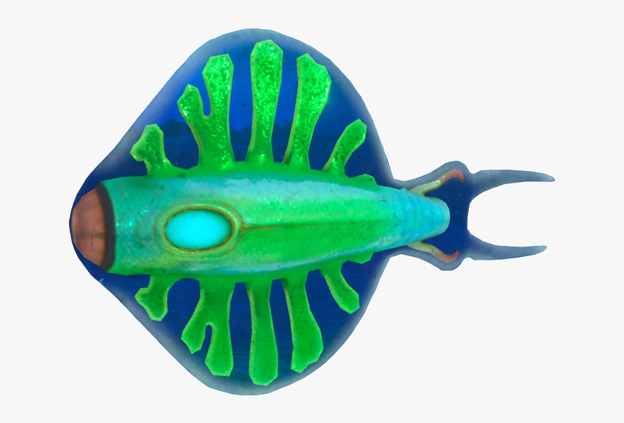 Discus - Fish - Cephalopod, Transparent Clipart