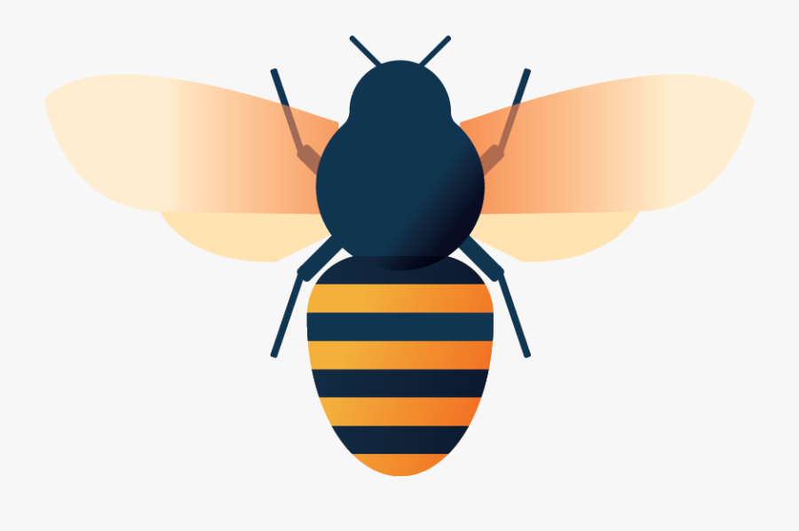 Bee Sting Allergy - Honeybee, Transparent Clipart