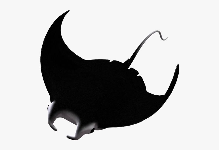 Cliparts For Free Download - Manta Ray On White Background, Transparent Clipart