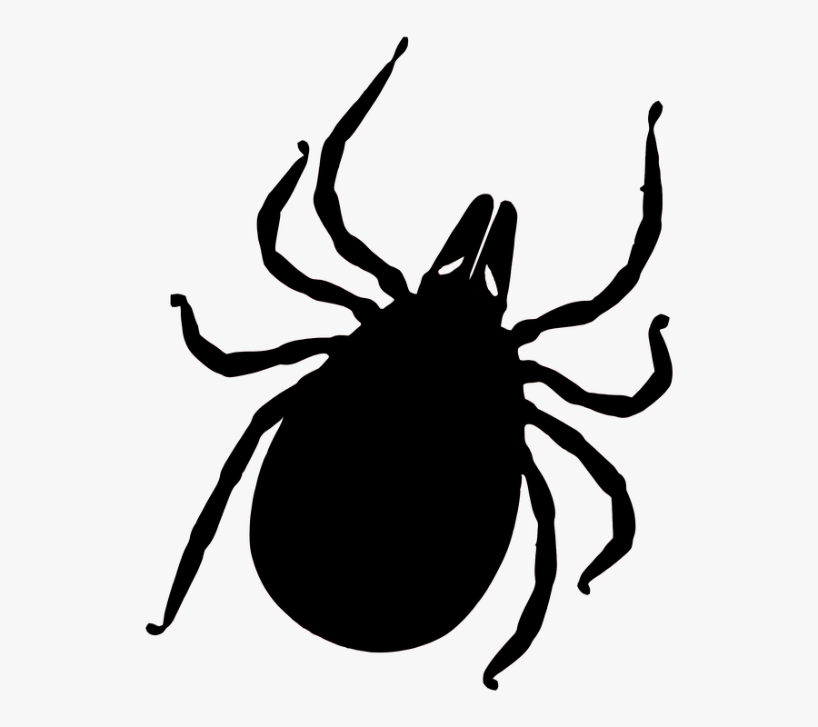 Tick, Sting, Insect, Tick-plage, Plage, Ban, Protection - Tick Insect Icon Download, Transparent Clipart