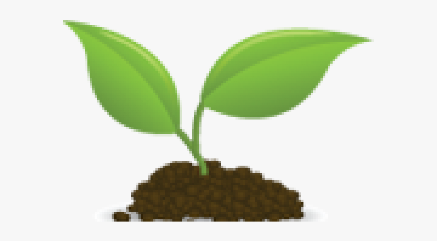Seedlings Cliparts - Clin D Oeil Reims, Transparent Clipart
