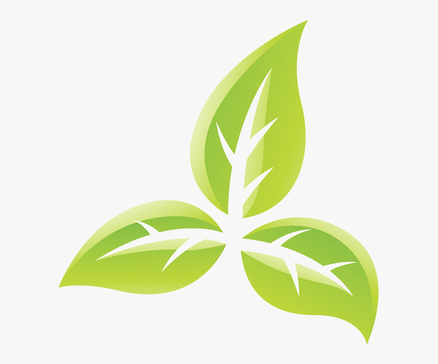 Best Bootcamp Norwich - Tobacco Plant Tobacco Symbol, Transparent Clipart