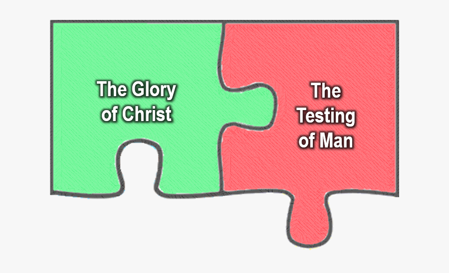 Human Action, Transparent Clipart