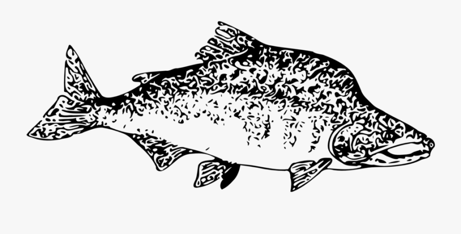 Pink Salmon - Fish Clip Art, Transparent Clipart