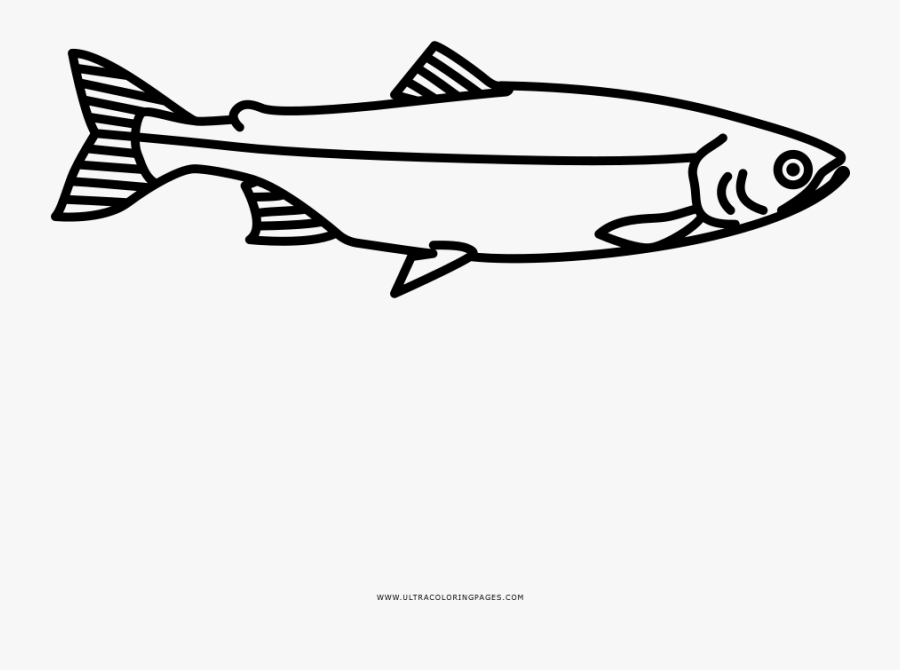 Pink Salmon Coloring Page, Transparent Clipart