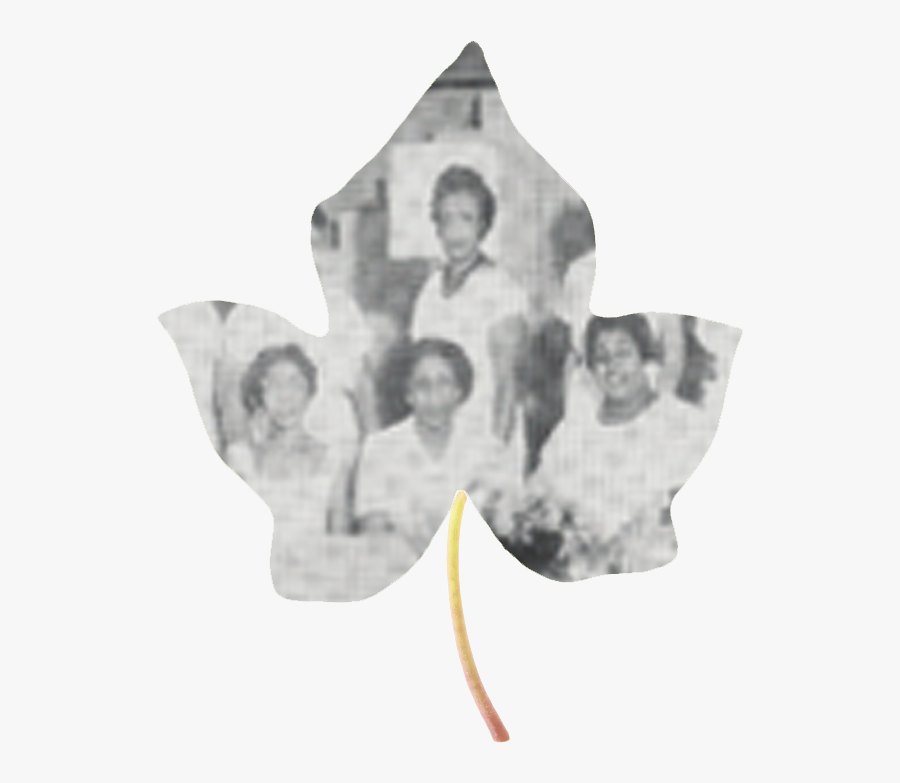 Image - Monochrome, Transparent Clipart